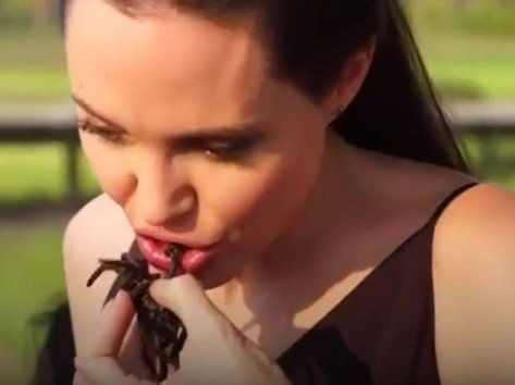 Η Angelina Jolie ταΐζει τα παιδιά της… σκορπιούς κι αράχνες-Δείτε το βίντεο